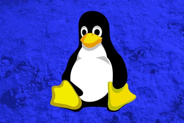 如何选择股票技巧 性能暴涨44%：Linux终于获得关键功能！Windows 10/11中早已存在数年